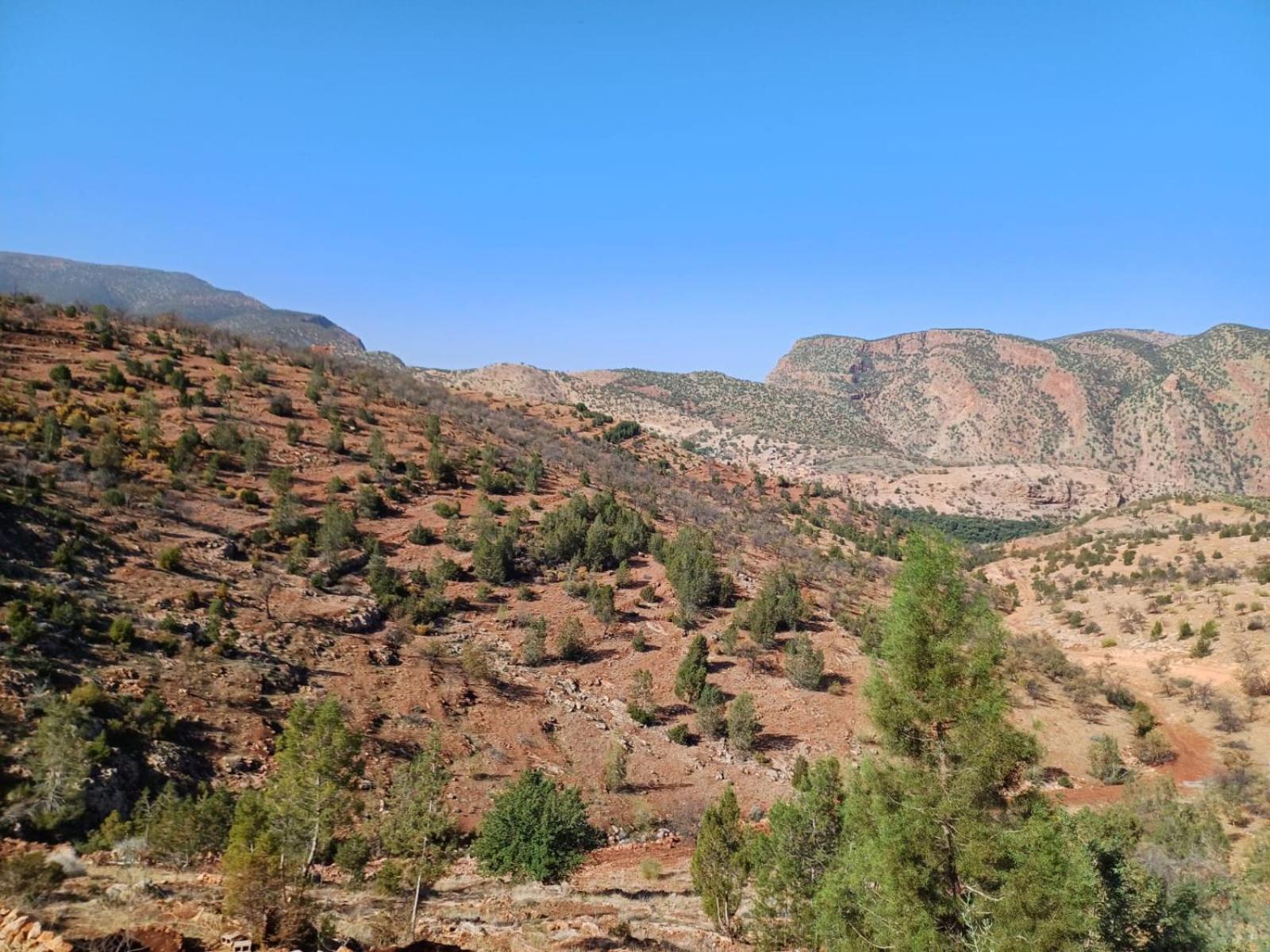 Riad Heermans أوزود المظهر الخارجي الصورة